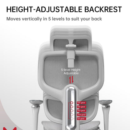 LUXOR Pro High Back Ergonomic Home Office Chair With DTS Self-Adaptive